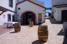 Guided Winery Tour with Wine Tasting and Seasonal Menu