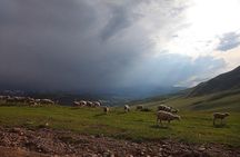 Jeep Tour: Plateau Assy