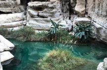 Muscat City & Wadi Shab Full-Day Adventure