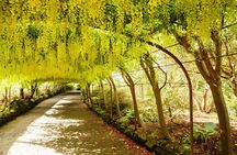 Private Snowdonia, Bodnant Gardens & Castles Tour