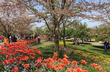 Private Full Day Tour: Shanghai Natural Sites and Beauty Tour