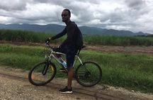Cycling through the TPC plantations