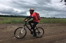 Cycling through the TPC plantations