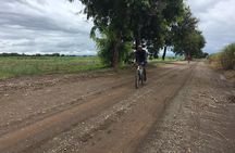 Cycling through the TPC plantations