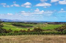 McLaren Vale Wine Tour - Max 6 guests with Chef's selection lunch