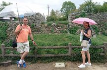 Yamato-Koriyama Castle and Goldfish Small-Group Tour from Nara