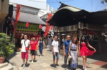 Vegetarian and Muslim Friendly Private Tour of Osaka