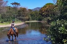 Safari Horse Riding Tour