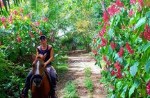 Safari Horse Riding Tour