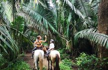 Safari Horse Riding Tour