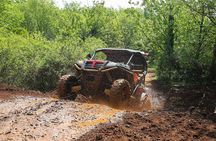 Self-drive Off Road Buggy