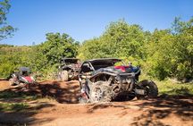 Self-drive Off Road Buggy
