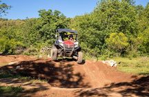 Self-drive Off Road Buggy