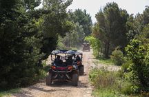 Self-drive Off Road Buggy