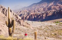 Salinas Grandes and San Antonio de los Cobres from Salta
