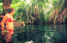 Kikuletwa Hot-spring