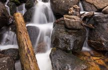 Explore & Photograph Wild Basin in Rocky Mountain National Park with a Pro