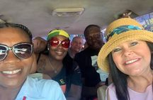 Private Tour - Dunn's River Falls and Ocho Rios Experience from Ocho Rios