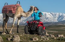 Agafay Desert Package, Quad Bike, Camel Ride and Dinner Show