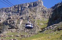 Table Mountain-Wines-Penguins-Cape Point All Inclusive Group Tour