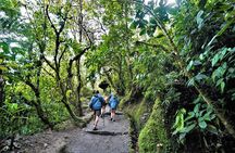 Private Day Tour to Mindo - Waterfalls & Hummingbirds
