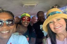 Dunn's River Falls and Fern Gully Highlight Adventure Tour from Kingston