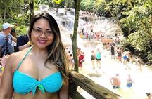 Dunn's River Falls and Fern Gully Highlight Adventure Tour from Kingston
