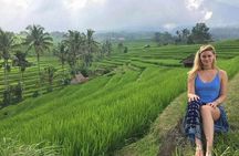 Private Full-Day Tour Jatiluwih Rice Terrace and Tanah Lot Temple