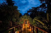 3-Day Tambopata Amazon Jungle Tour at Posada Amazonas