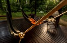 3-Day Tambopata Amazon Jungle Tour at Posada Amazonas
