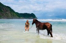Safari & Buenavista Beach Horse Riding Tour