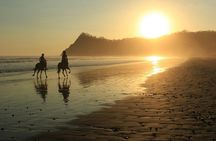 Safari & Buenavista Beach Horse Riding Tour