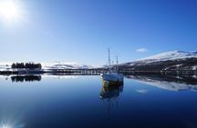 Fjordcruise in a Luxury Yacht Arctic Queen 
