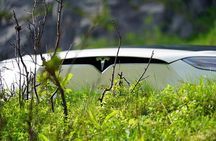 Fjord Sightseeing - Eco friendly Tesla Model X