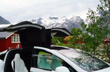 Fjord Sightseeing - Eco friendly Tesla Model X