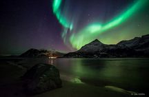 Northern Lights Hunting - Luxury Catamaran Arctic Princess