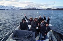 Better Whalesafari | Whale Watching - Cozy Luxury Yacht Arctic Queen
