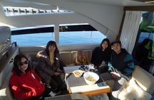 Fishing - Luxury Yacht Arctic Queen