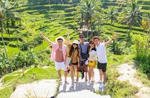 Ubud Tour - Monkey Forest, Temple, Waterfall, and Rice Terrace