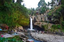 Blue Lagoon Snorkeling and Lunch with Visit Tegenungn Waterfall in Ubud 