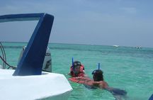 Speedboat tour in Cancun with snorkel and sightseeing in manglars