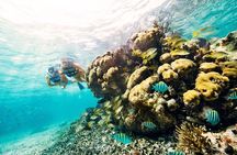 Speedboat tour in Cancun with snorkel and sightseeing in manglars