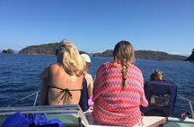 Private Gulf of Papagayo Boat Tour