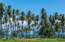 Private Tahiti Circle Island - Waterfalls, Black Sand & Views