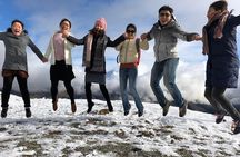 Arrowtown and Wanaka Highlights Tour from Queenstown