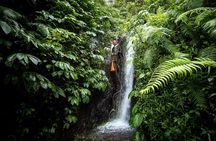 Canyoning Bali, Tamata Canyon (Adventure, discovery, nature)