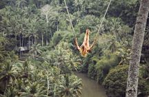 Bali ATV Ride with Jungle Swing and Rice Terrace Tour