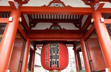 Freely set up plans Guided Private Tours in Tokyo