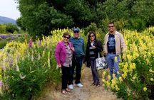 Queenstown Private Tour 4 Hours 