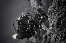 package of 2 single dives in the Capo Carbonara Marine Protected Area